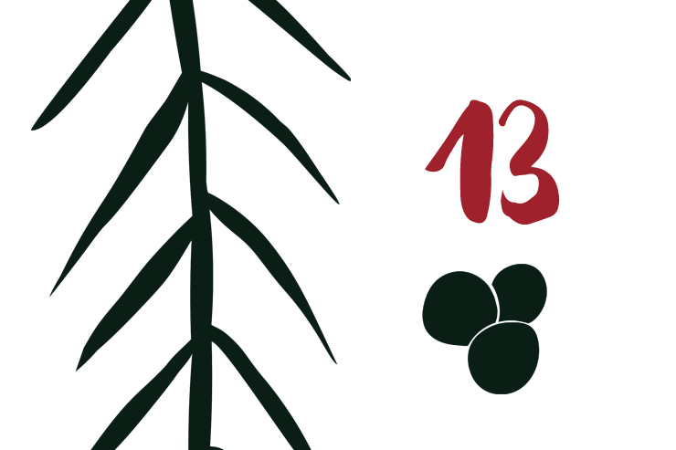 Red Bug Culture Adventskalender 2019 - TAG 13